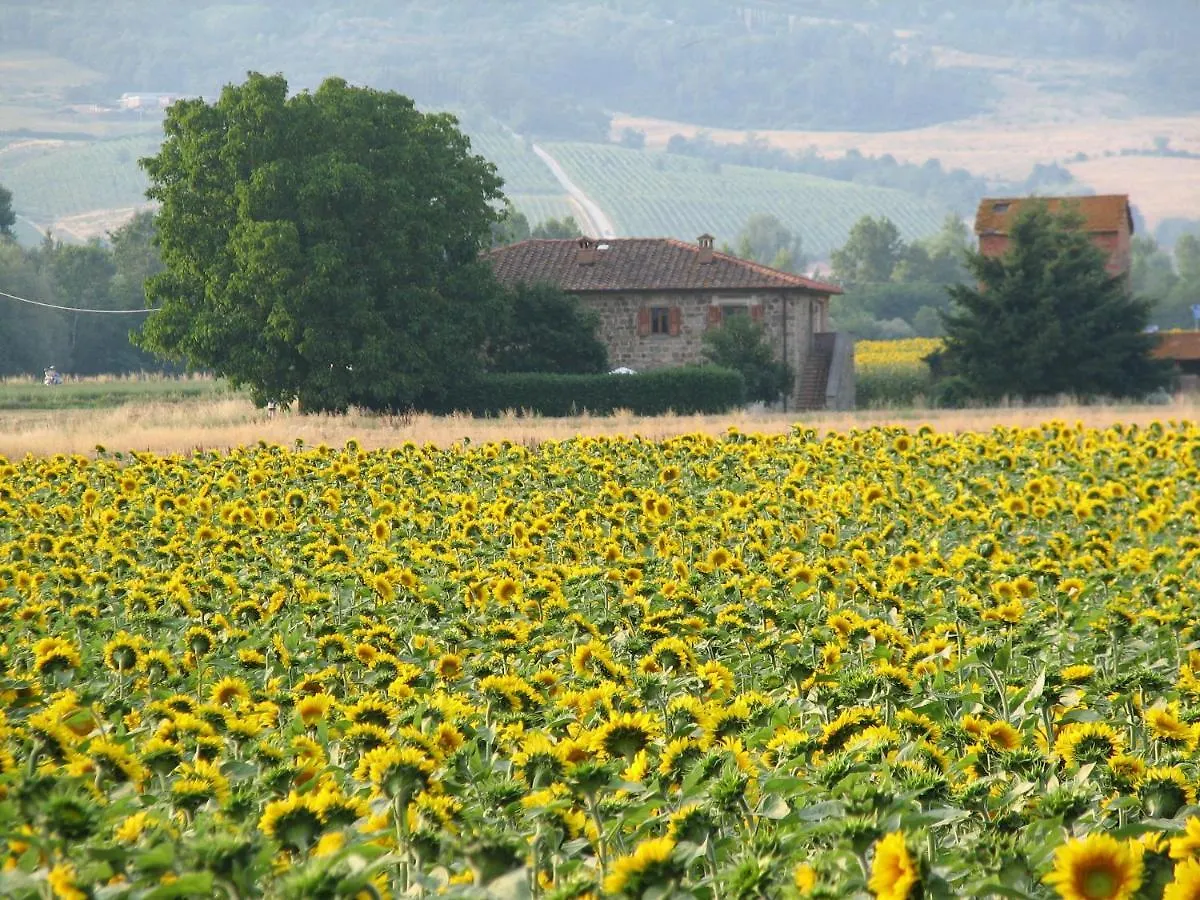 Agriturismo Poderi Minori Villa Bibbiena Farm stay